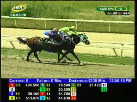 Resumen Sábado, 06 de Agosto de 2016 - La Rinconada