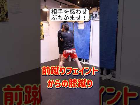 前蹴りフェイントを使った膝蹴り#キックボクシング #shorts
