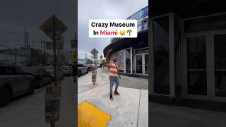 Would you visit here? 📍Paradox Museum #miami #travel