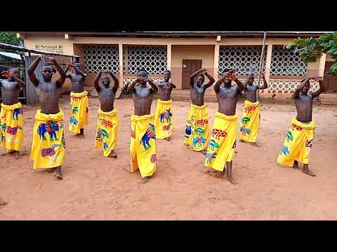 La danse traditionnelle du Roi Alekpehanhou