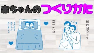 赤ちゃんは何をしたらできるの？〜学校じゃ教わらない性教育〜 #1【実況】【保健体育クイズ】