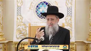 הגאון רבי דוד יוסף שליט"א - חמץ בפסח במשהו   הסבר הדין וההבדל משאר איסורים