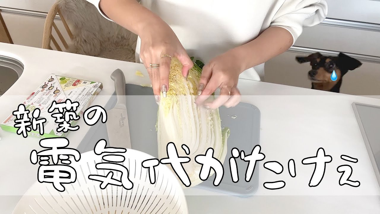 電気代高くて死にそうなんで八宝菜作ります