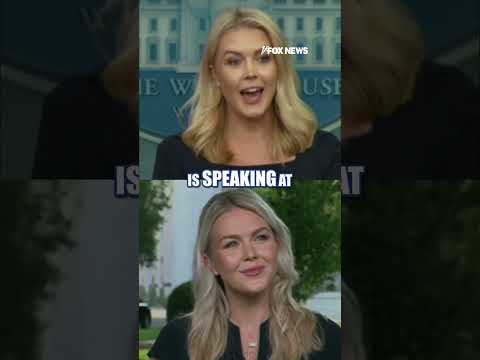 HIGHLIGHTS: Leavitt's BEST media takedowns #shorts #foxnews #politics