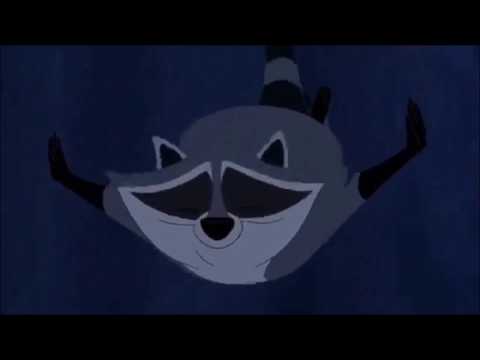 Meeko In Pocahontas