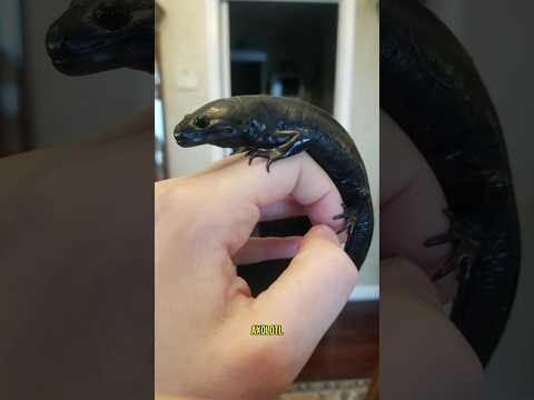 Rare Photos You Were Never Meant to See! | 13