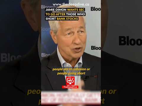 JAMIE DIMON WANTS SEC TO GO AFTER THOSE WHO SHORT BANK STOCKS