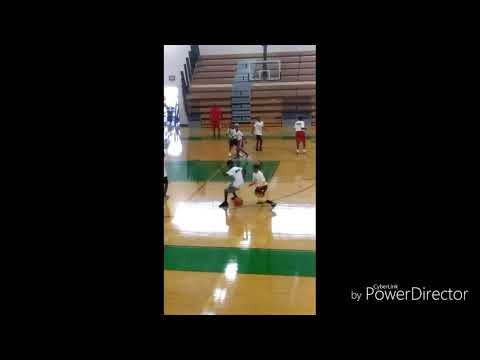 Norman Powell getting blocked by a 11yr old