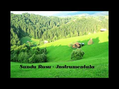 Sandu Rusu - Instrumentala 1984