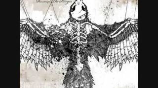 Stitches - Haste The Day