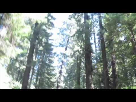 Arcata to Hidden Springs Flat