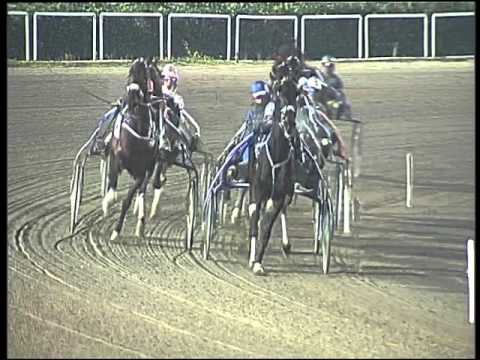 Trotto 24/12/2015 - 8° corsa