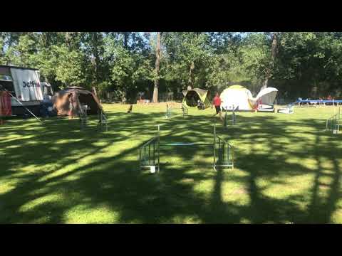 01.06.2019 - Rülzheim - Chii - J3 - 2. Platz