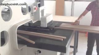 Straight line ripsaw - San Jui Machinery