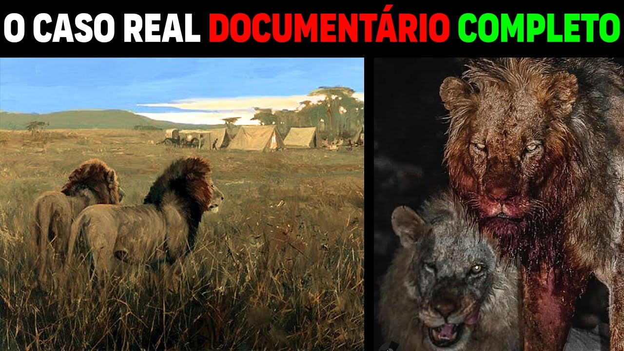 Después de COMER VIVAS a 135 PERSONAS, ¡estos leones finalmente fueron capturados!