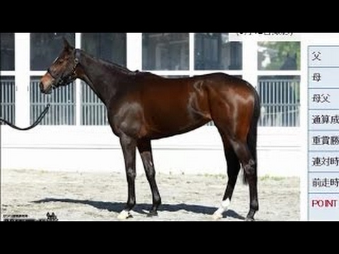 【競馬】2016 優駿牝馬(ＧＩ)(オークス) シンハライト