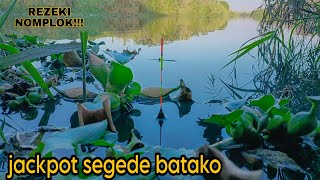 Download lagu Rekor Mancing Nila Super Gede Umpanku Di Makan Nila Babon Merah Monster Sore Hari mp3 Download lagu Rekor Mancing Nila Super Gede Umpanku Di Makan Nila Babon Merah Monster Sore Hari mp3