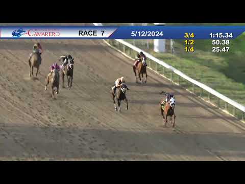 AMBAR BRAVA - Clásico Verset's Dancer 2024