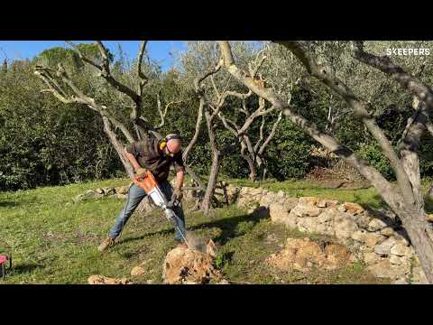 Burineur filaire SDS Max 1600W - 20J + coffret - PM10E AEG Powertools