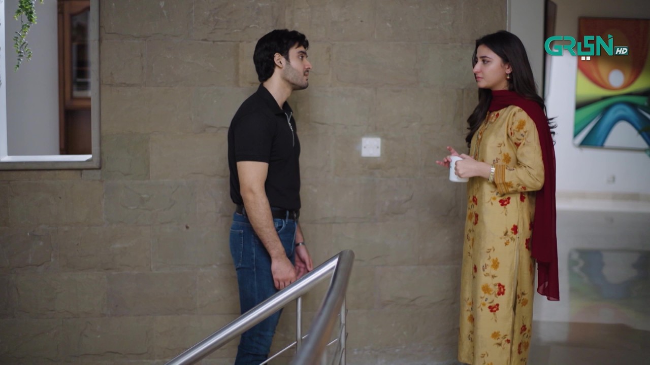 Tumhari Konsa Iss Ghar Mein Chalti Hai | Humnava | Sumaiya Bukhsh - Hunain Shahid | Green TV