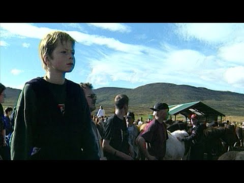 Börn á Íslandi - Hestaréttir