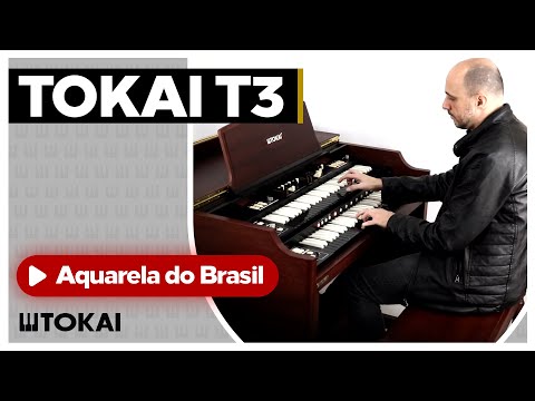 TOKAI T-3: Aquarela do Brasil por Michel Barbaro