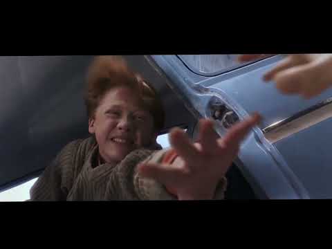 Dumpert Creatags (Auto) Harry Potter edit