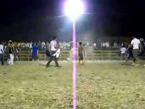 Costa Rican "Bullfight"