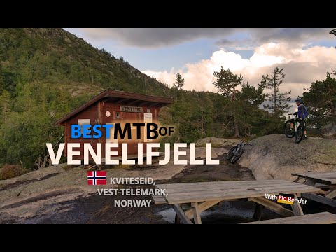 Best MTB of Venelifjell (Vrådal, Kviteseid, Norway)