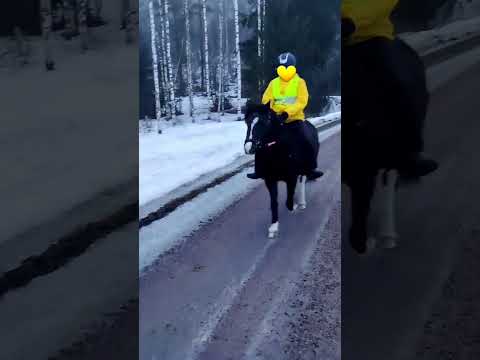 , title : 'älkää välittäkö tost heijastinliivist😭 mut kiva Cindy tnä🫶'