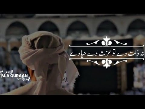 Main Jannat Ka Haqdar To nahi / Naat WhatsApp status video / new naat / @m.aquraan6350
