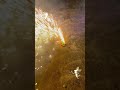 Today S Fireworks Show Theme Big And Small Good Luck Amazing Fireworks Show Cool Fireworks Show