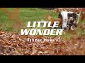 Little Wonder 9390-06-01