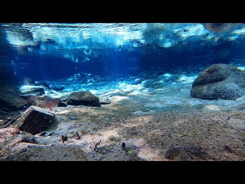 新阿蘇紀行（34.けやき水源）