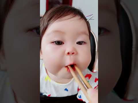 Sóc chuột nhỏ Siyu ăn ngon miệng, đáng yêu - Baby China - Tiktok Trung Quốc Chanel #81