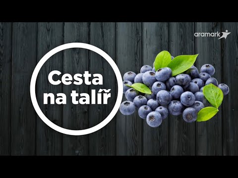 Cesta na talíř: Borůvky