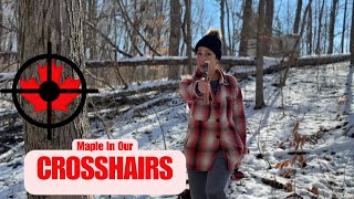Episode 99 - How To Collect Maple Sap To Make Maple Syrup