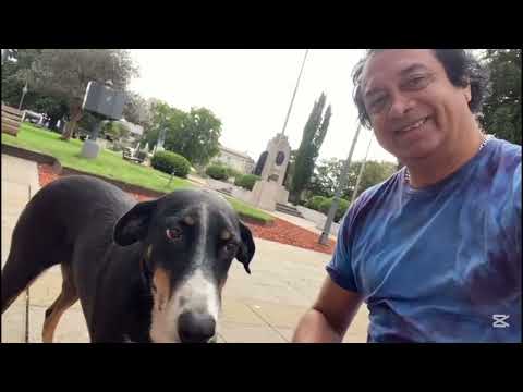 LOBOS Buenos Aires Argentina A LOS 4 PUNTOS CARDINALES Marcelo PETERNEK 