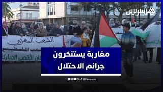 مغاربة يستنكرون جرائم الاحتلال الإسرائيلي وينادون بوقف التطبيع في القنيطرة thumbnail