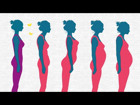 Was Deine Bauchform über Deine Gesundheit verrät!