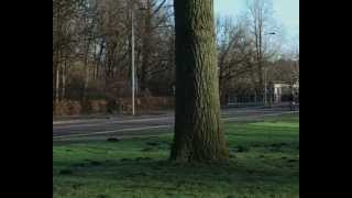 The Magic Roads of Nieuw-West