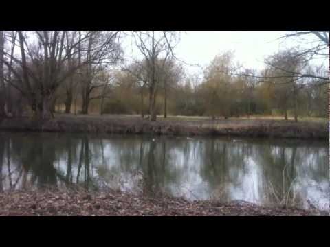 Hundetraining! Auf Abruf Seitenwechsel der Flußsei