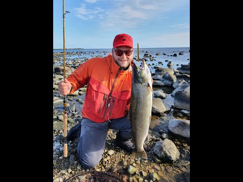 SeaTroutGuide Öland Spring 2019 ( havsöring, havørred, seatrout)