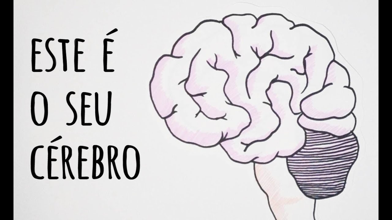 CONHEÇA O SEU CÉREBRO