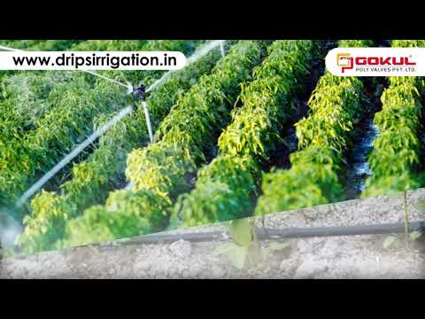 PP Flanged Hose Nipple