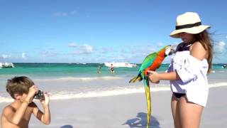 Ocean Blue and Sand official video