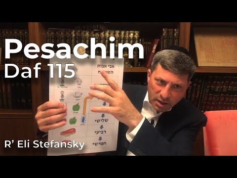 Daf Yomi Pesachim Daf 115 by R’ Eli Stefansky