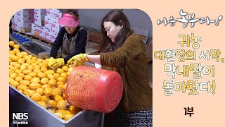 [나는농부다 291회 1부] 귀농 대환장의 서막, 막내딸이 돌아왔다!