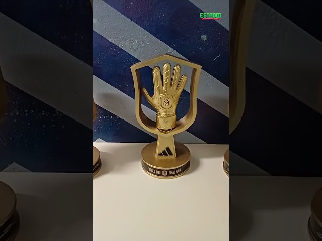Vídeo relacionado con Relaxdays Set de 3 Copas de Trofeo, Ceremonia de Premio, Torneos Deportivos, Sin Grabado, 22,5x13,5x8,5 cm, Multicolor