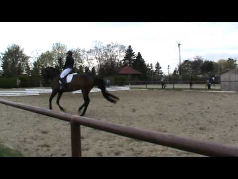 royal classic lizenzprüfung 042012